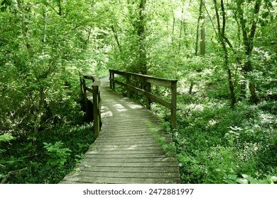 中文字幕无码无卡视频 中文字幕无码无卡视频