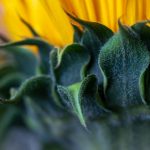 免费A级在线观看完整片 0hm43