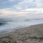 免费αv片在线观看 ojuz4