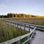 日韩高清在线亚洲专区 p113kjj