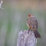 色婷婷五月人人看电影 xnrha48j