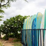 中国人免费人做人爱的视频 ya3vf5