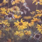 明日花绮罗45部全集 ypuzx0rh2h