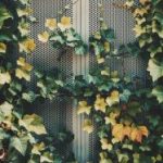 免费VA国产高清大片在线 zbffw15j