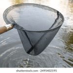 哔咔漫画官方版:畅享海量优质漫画资源 03zipf1i7