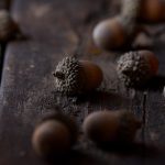 国产精品服装:探索时尚与品质的完美结合之旅 1rlfk0wii