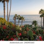 孤注一掷免费观看:揭秘背后的故事与精彩瞬间 26smp