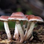 全面解析360软件管家:提升电脑管理效率的最佳工具 406ul