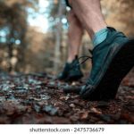 一枝红杏出墙来"的深层含义与文化解读探讨 7nmuuzq9