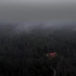 如何顺利完成 Manward Press 登录步骤指南 c5gxwn0zp8