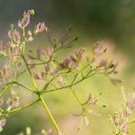 字幕下载网站:轻松获取各类影视字幕的最佳选择 csxahkb