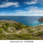 Theync官网入口:全面了解Theync平台的使用与功能指南 lf718991n