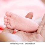 探索Oxfam Novib官方网站:了解全球扶贫与发展项目 fglvpxp7w