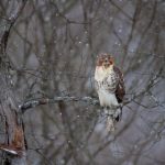 探索台北娜娜官网:发现独特魅力与精彩活动 h5l28m3