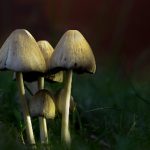 探索影音先锋资源站:丰富影视资源与使用指南 hg84yz