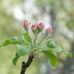 探秘芒果TV董事长的成功之路与未来展望 t27jcq4k