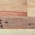 探索御宅屋小说网站:二次元文化的聚集地 xtmxz